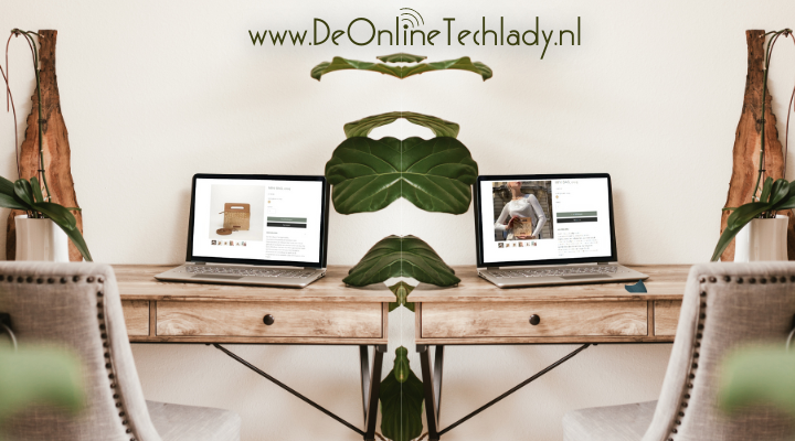 Wil je je webshop product goed verkopen?