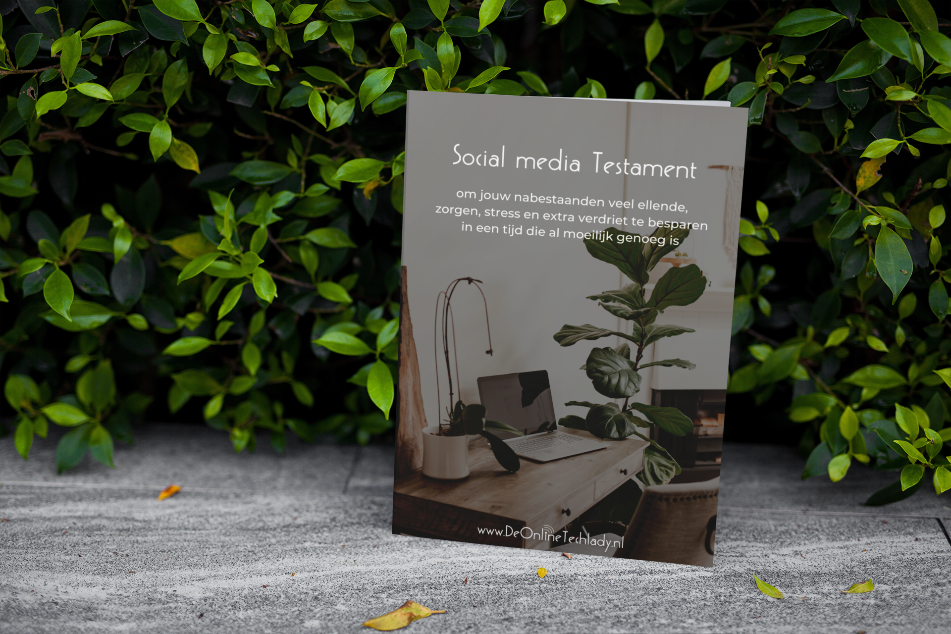 Social Media Testament